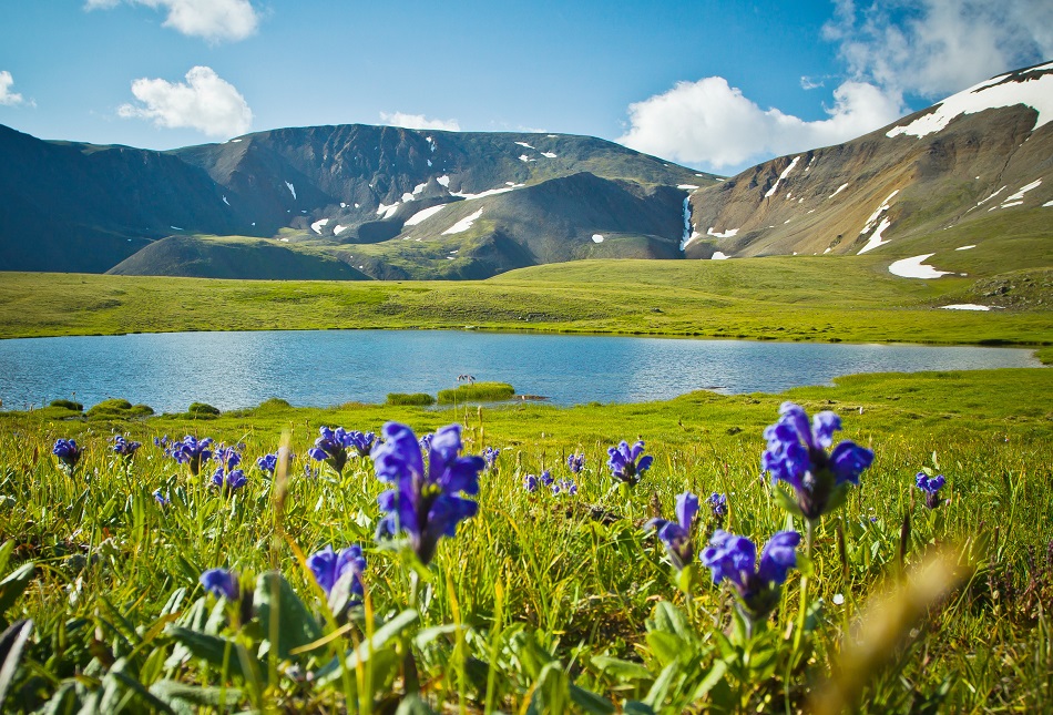Das Altaj-Gebirge ist auch heute noch eine sehr reine Region