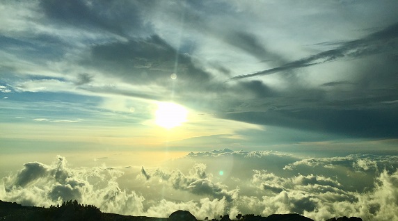 Sonnenuntergang aus Hawaii - Ronald Ivarsson besucht Hawaiian Spirulina