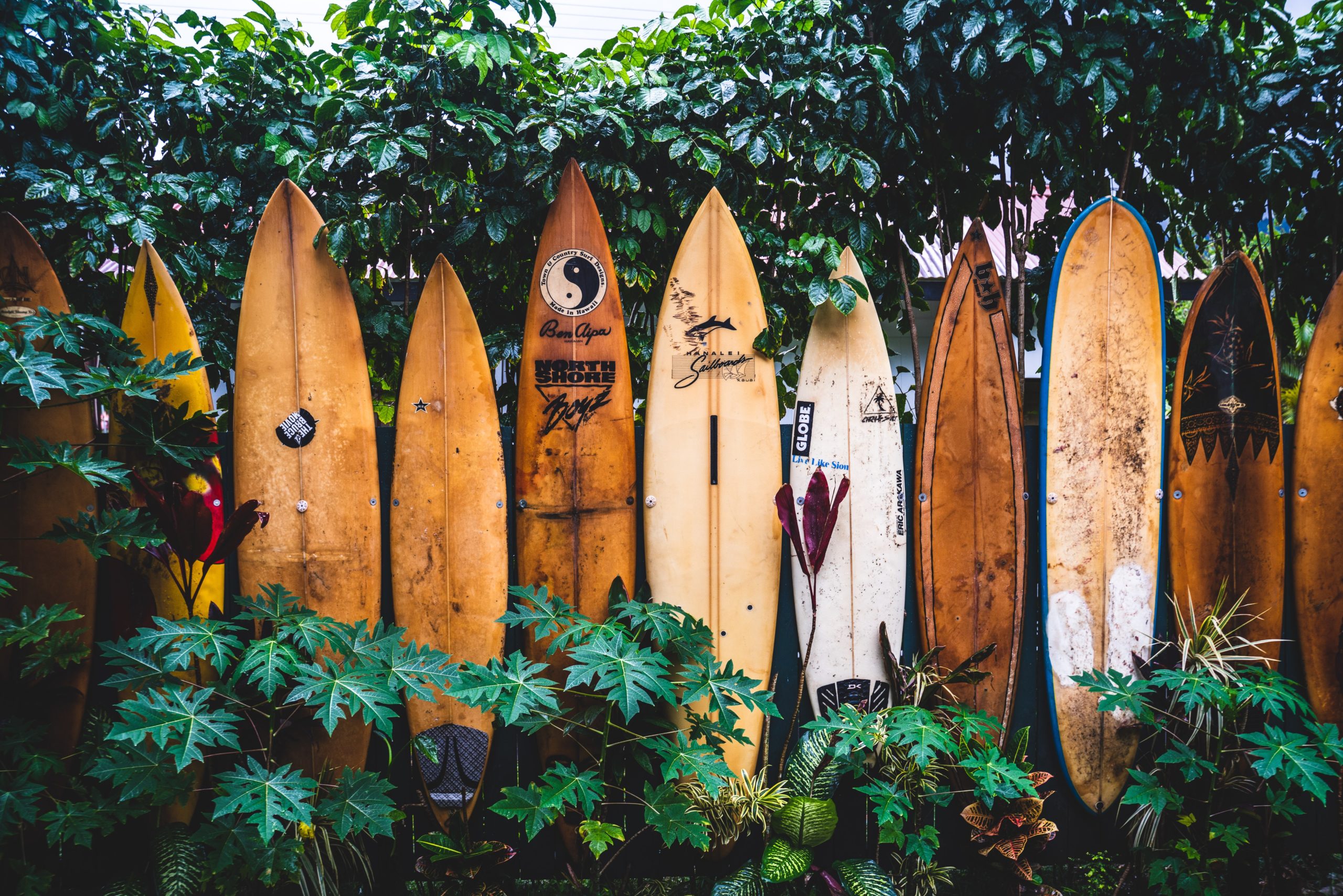 Hawaii Surfbretter